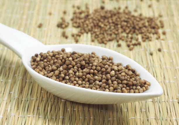 تصویر 1 از خرید تخم گشنیز خوب + قیمت فروش استثنایی